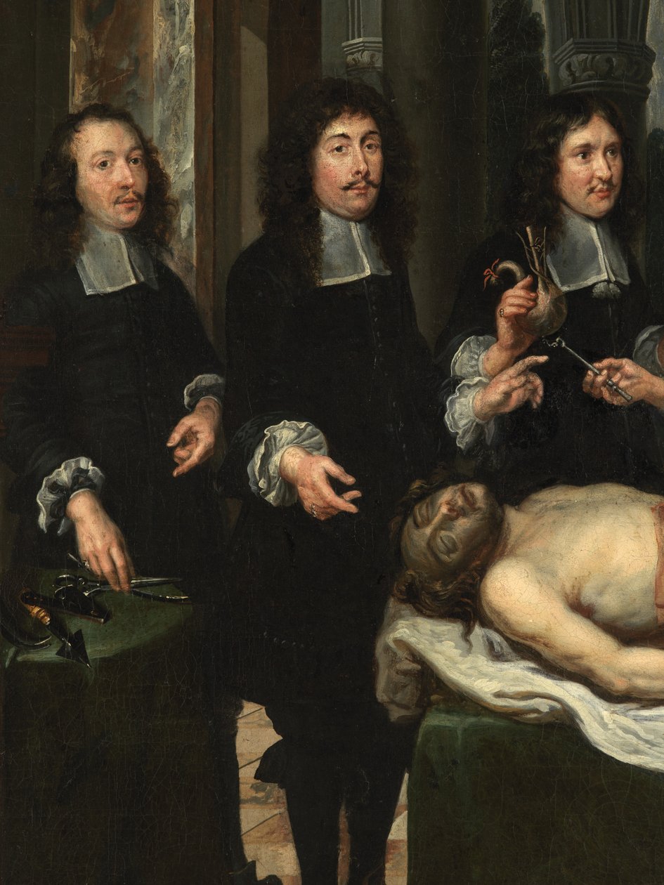 Detail lekce anatomie (olej na plátně) od Flemish School
