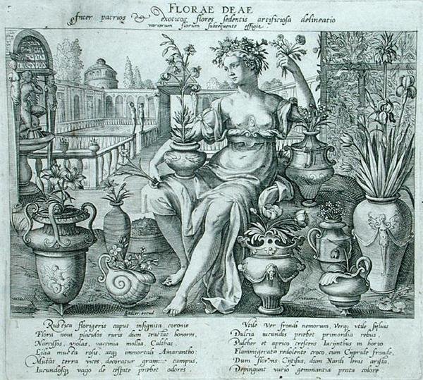 Flora (gravírování) od Flemish School