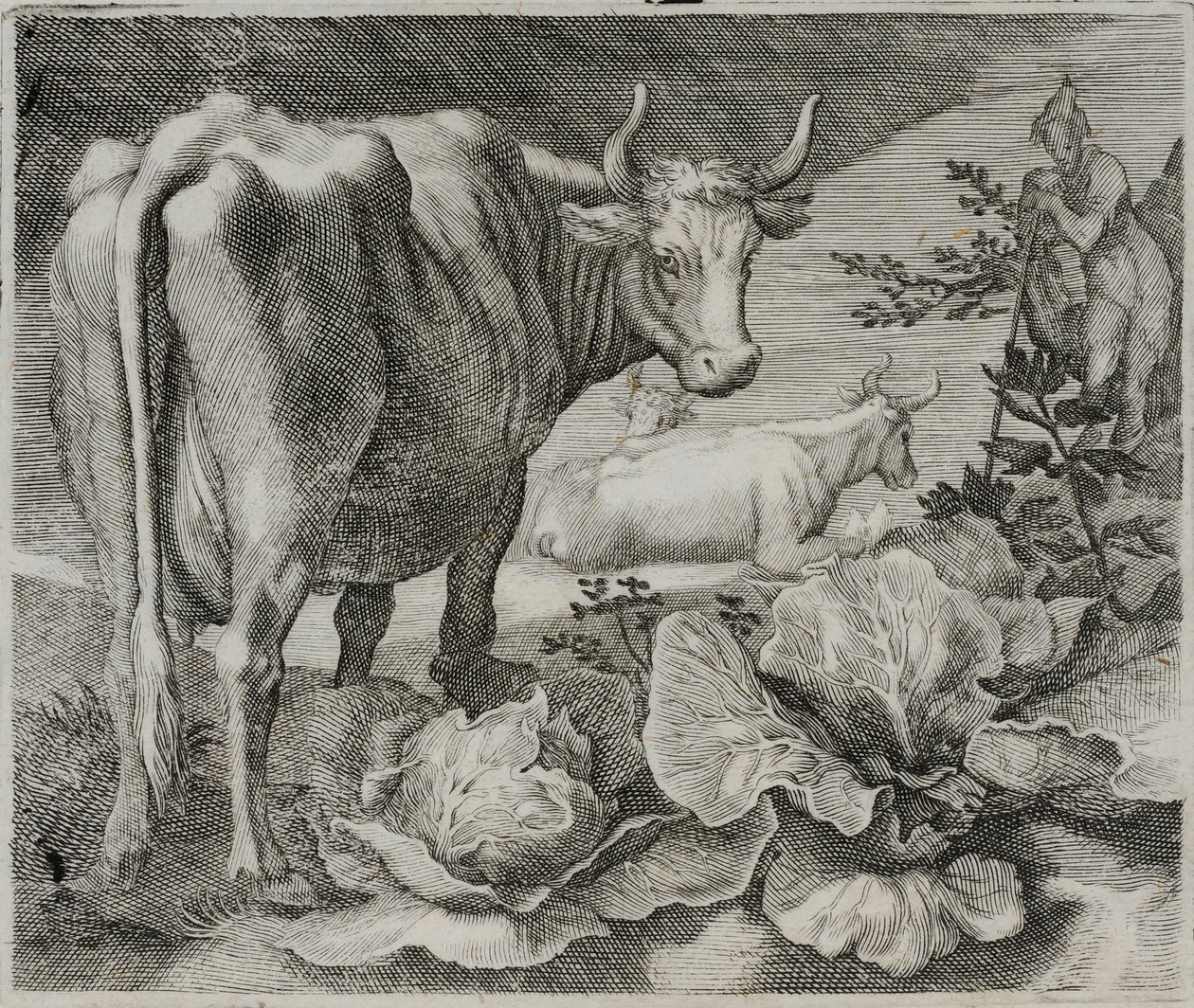 Starý mistr rytina od Flemish School