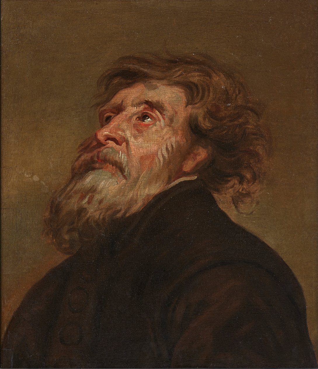 Studie člověka (olej na plátně) od Flemish School