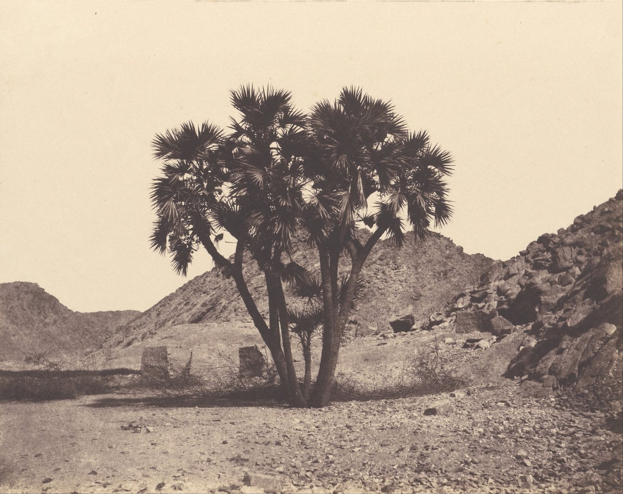 Egypt a Núbie. Místa a památky od Félix Teynard