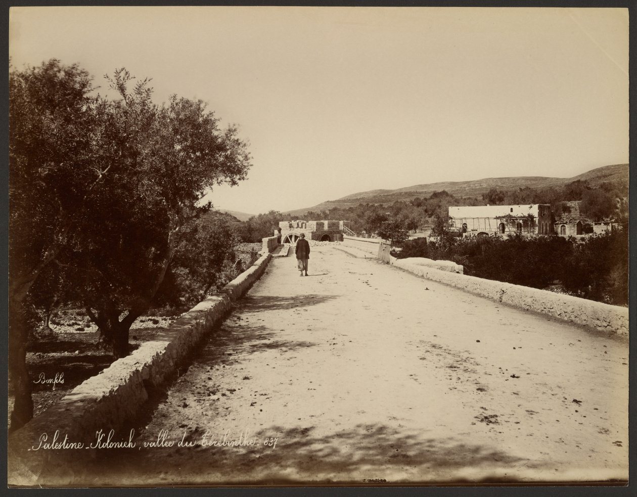 Palestina - Kolonick, Terebinth Valley od Félix Bonfils