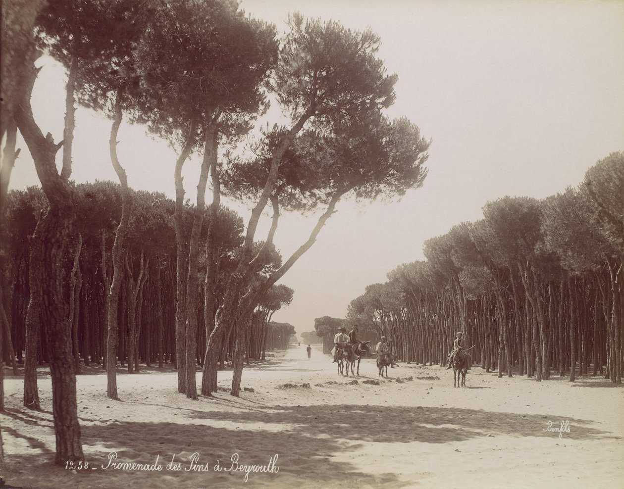 Promenade des Pins v Bejrútu, ca. 1870. od Félix Bonfils