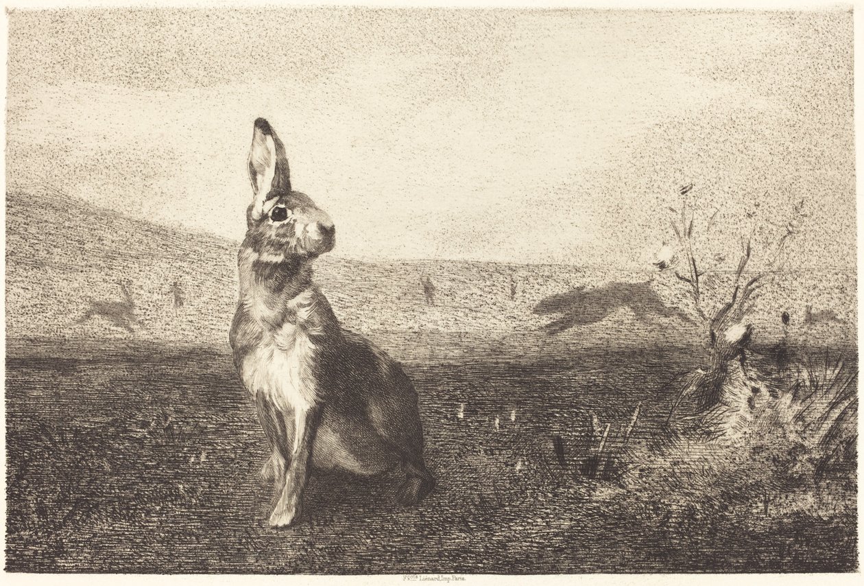 Zajíc od Félix Bracquemond after Albert de Balleroy