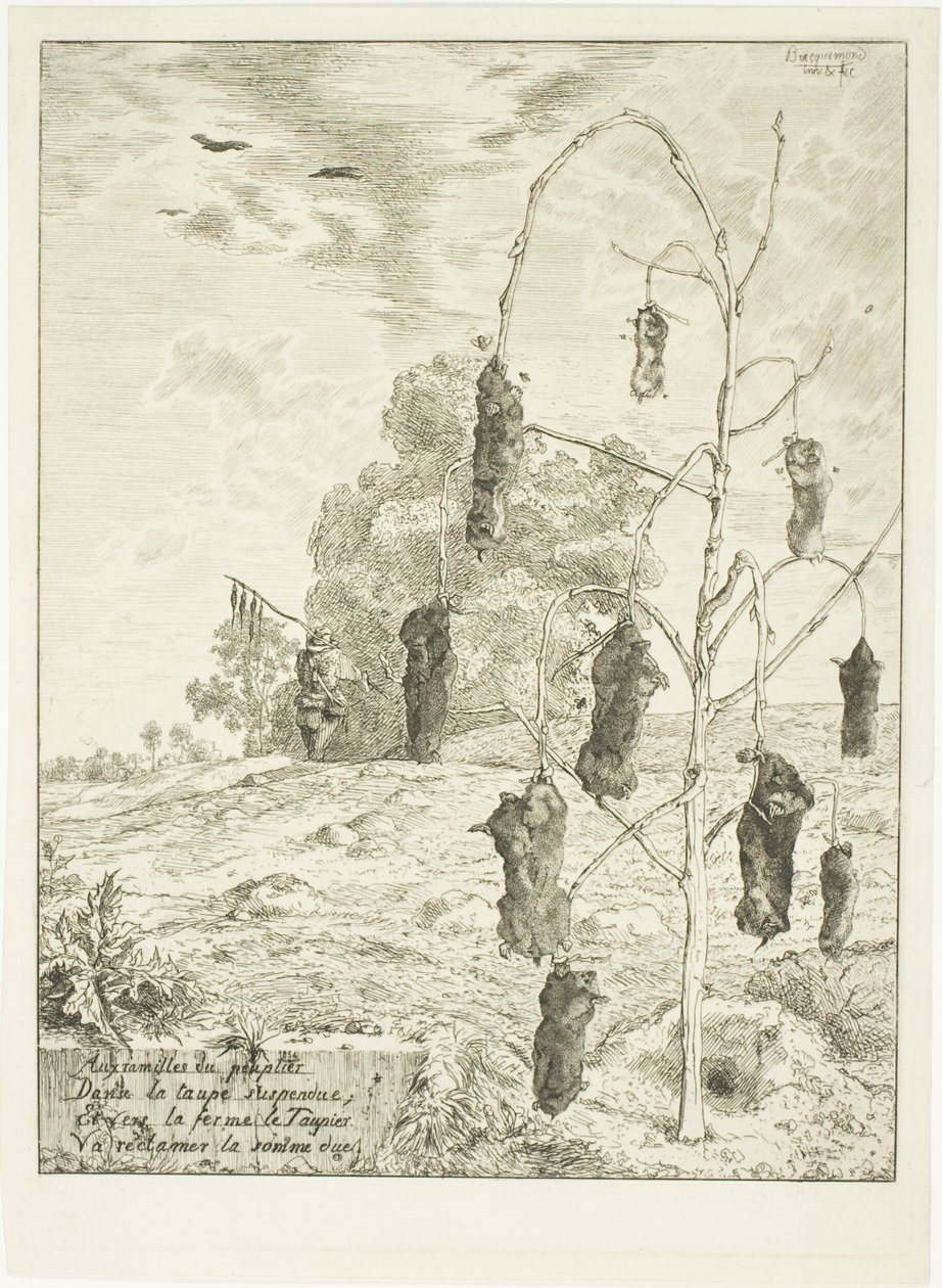 Krtci od Félix Henri Bracquemond