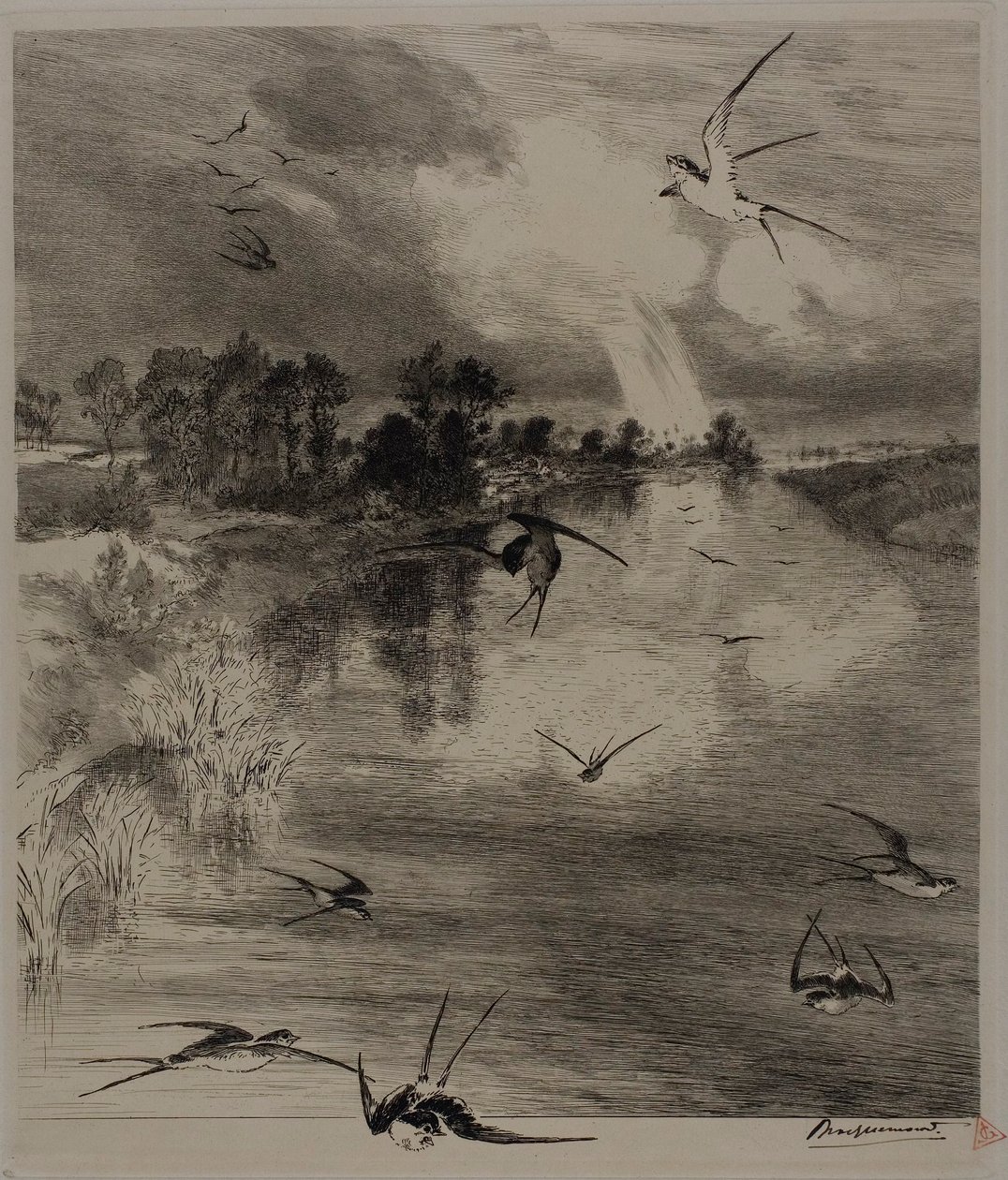 Vlaštovky od Félix Henri Bracquemond