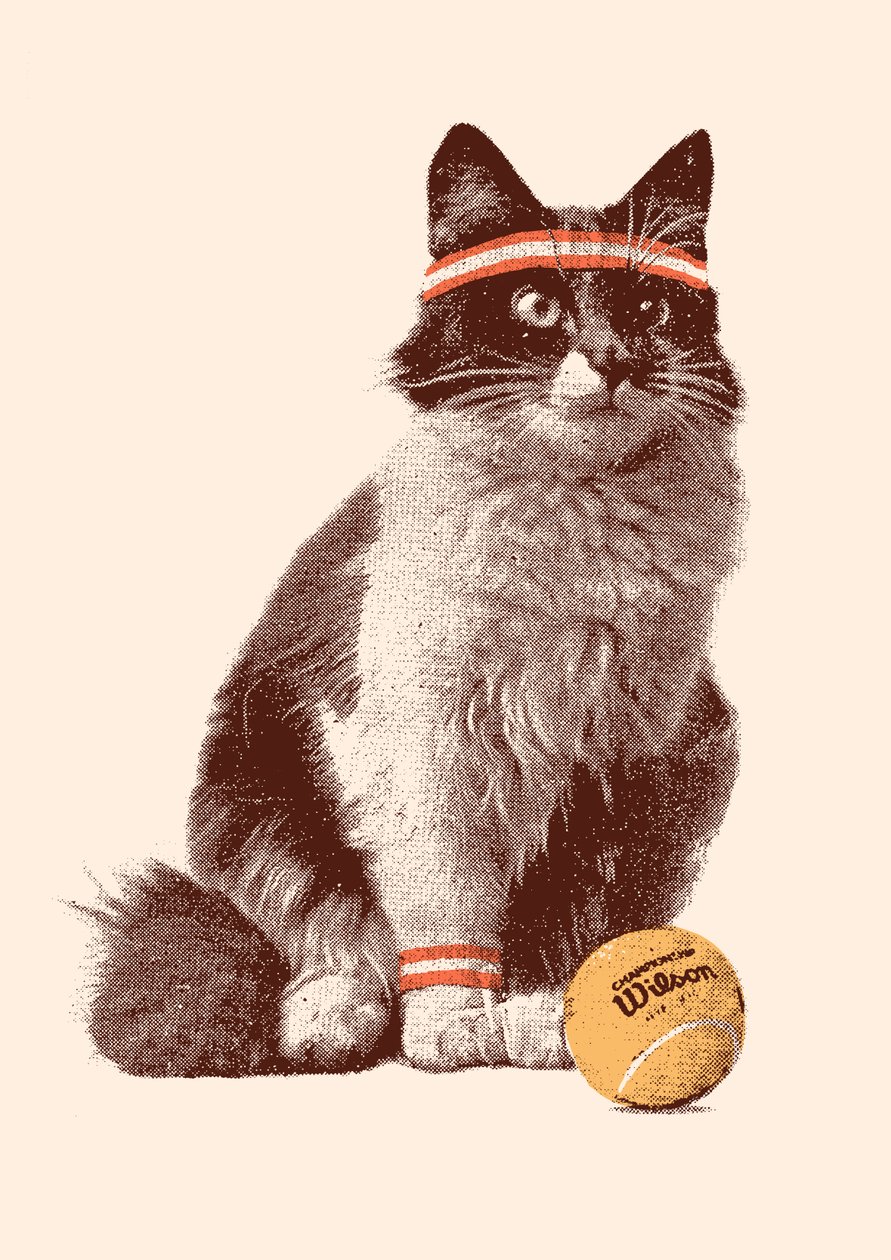 Tenisová kočka, 2021 (digitální) od Florent Bodart