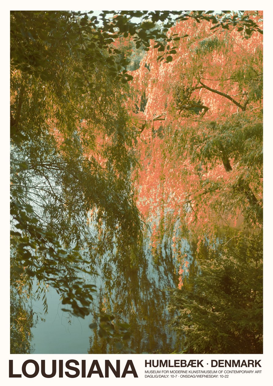 Jezero - Lousiana, 2023 (foto) od Florent Bodart