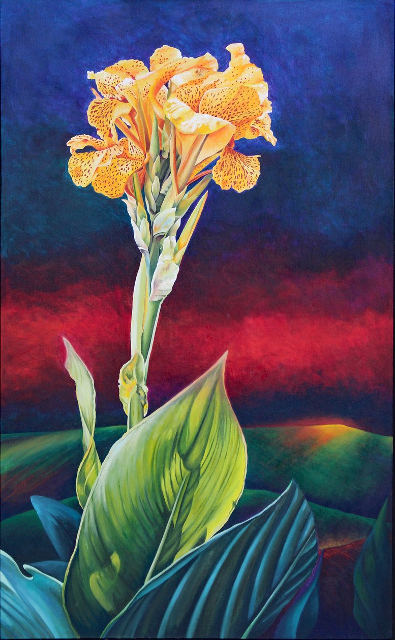 Žlutá Canna Lily od Frances Ferdinands