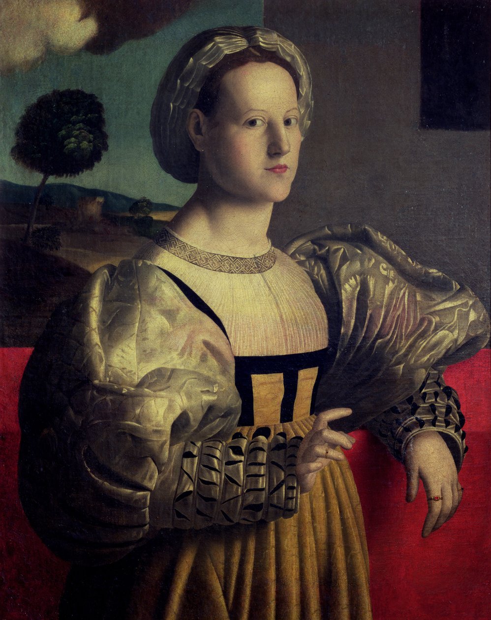 Portrét dámy od Francesco Ubertini Verdi Bachiacca