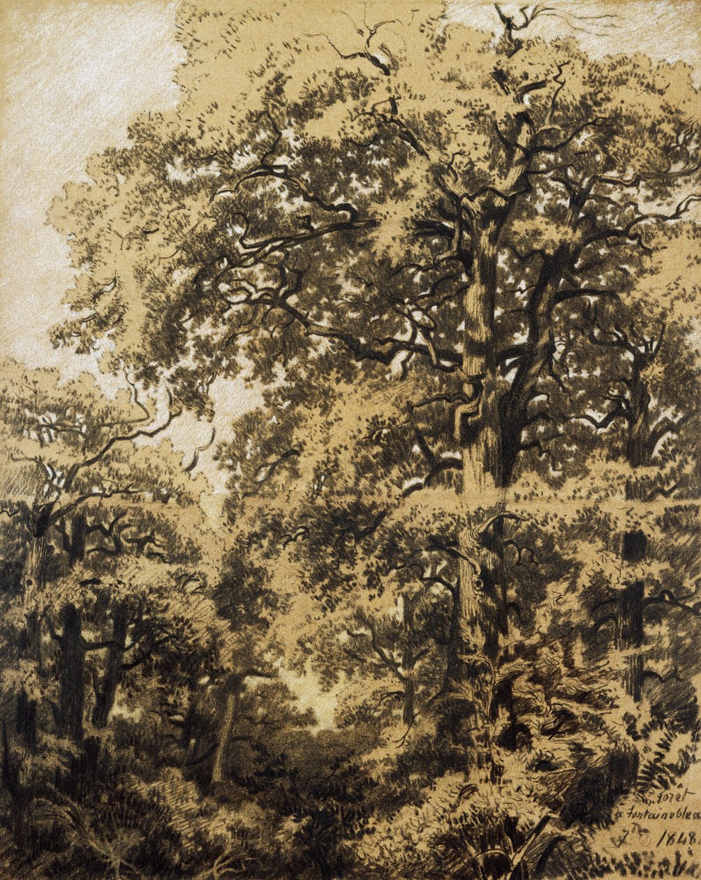 Les Fontainebleau od Francesco Gamba