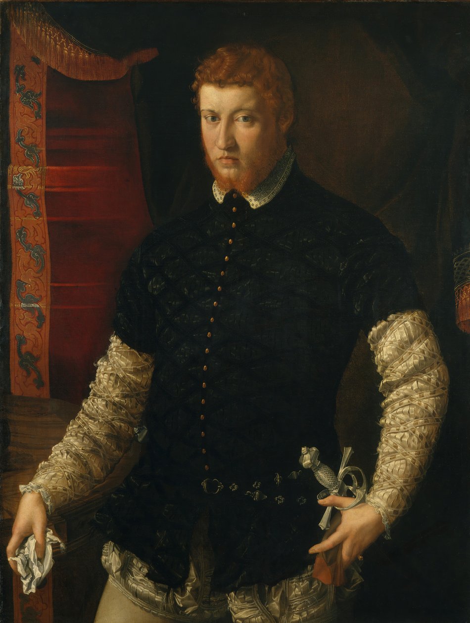 Portrét muže. od Francesco Salviati