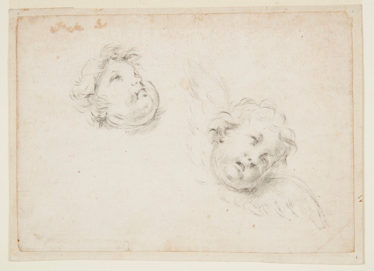 Studie pro dva cherubíny od Francesco Solimena