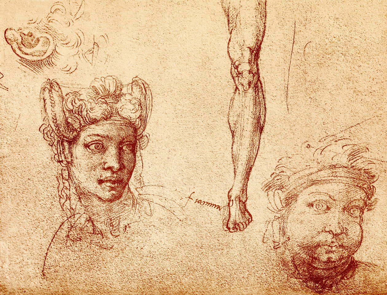Studie hlavy a nohou od Francesco Ubertini Bacchiacca