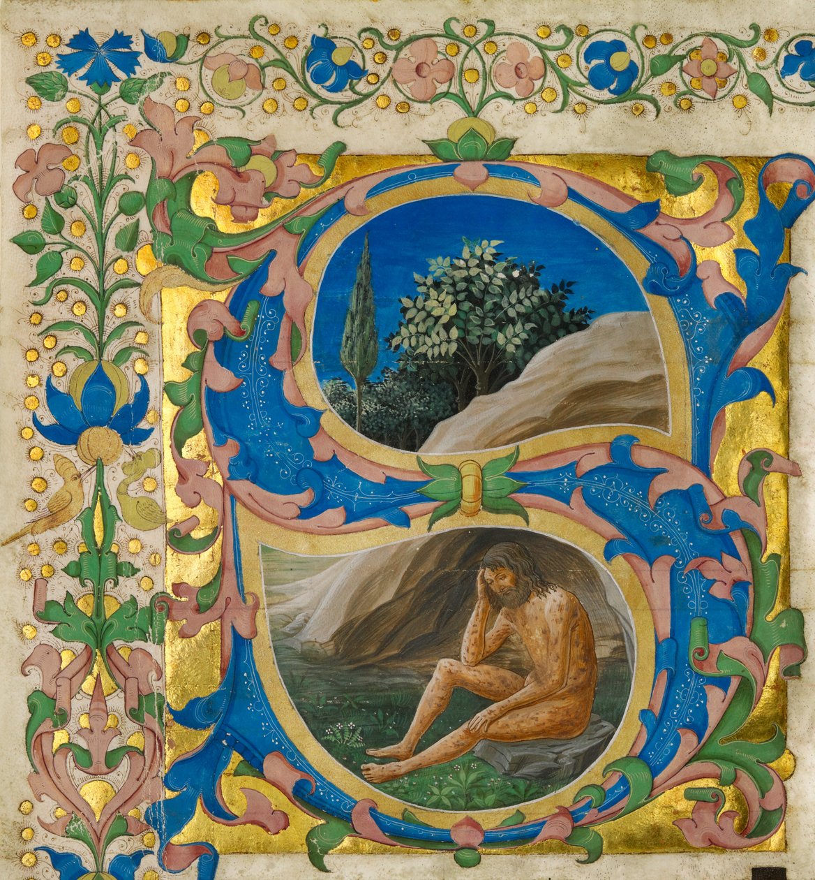 Počáteční S: Práce od Francesco di Antonio del Chierico