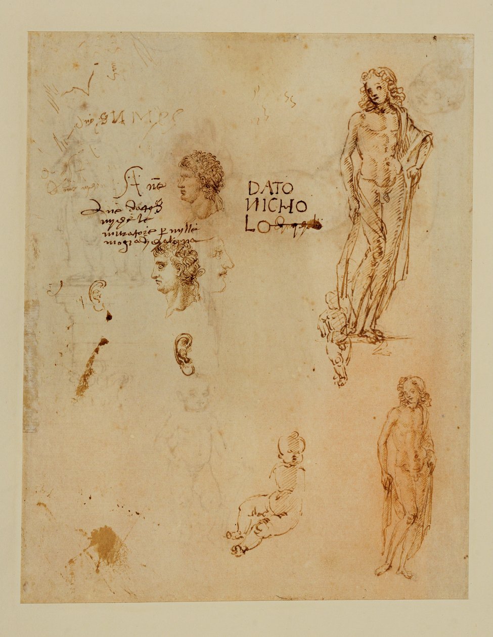 Tři profily;uši;dva Apollové... od Francesco di Simone (attr. to)