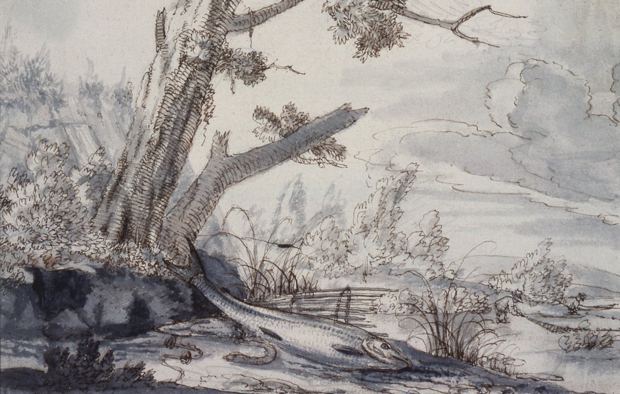 Koroptve a sluka, 17. století (kresba) od Francis Barlow