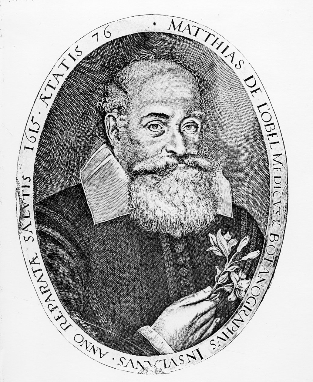 Matyáš z Obelu od Francis Delaram