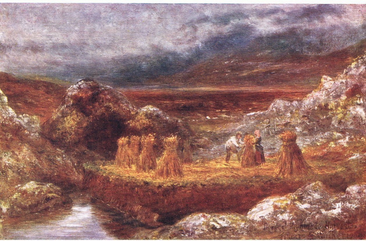 A Donegal harvest, from Peeps at Many Lands: Ireland publikoval Adams & Charles, 1909 od Francis S. Walker