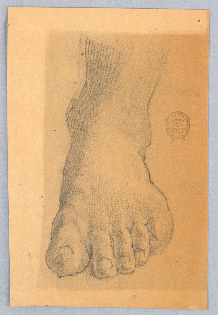 Studium levé nohy od Francis Augustus Lathrop