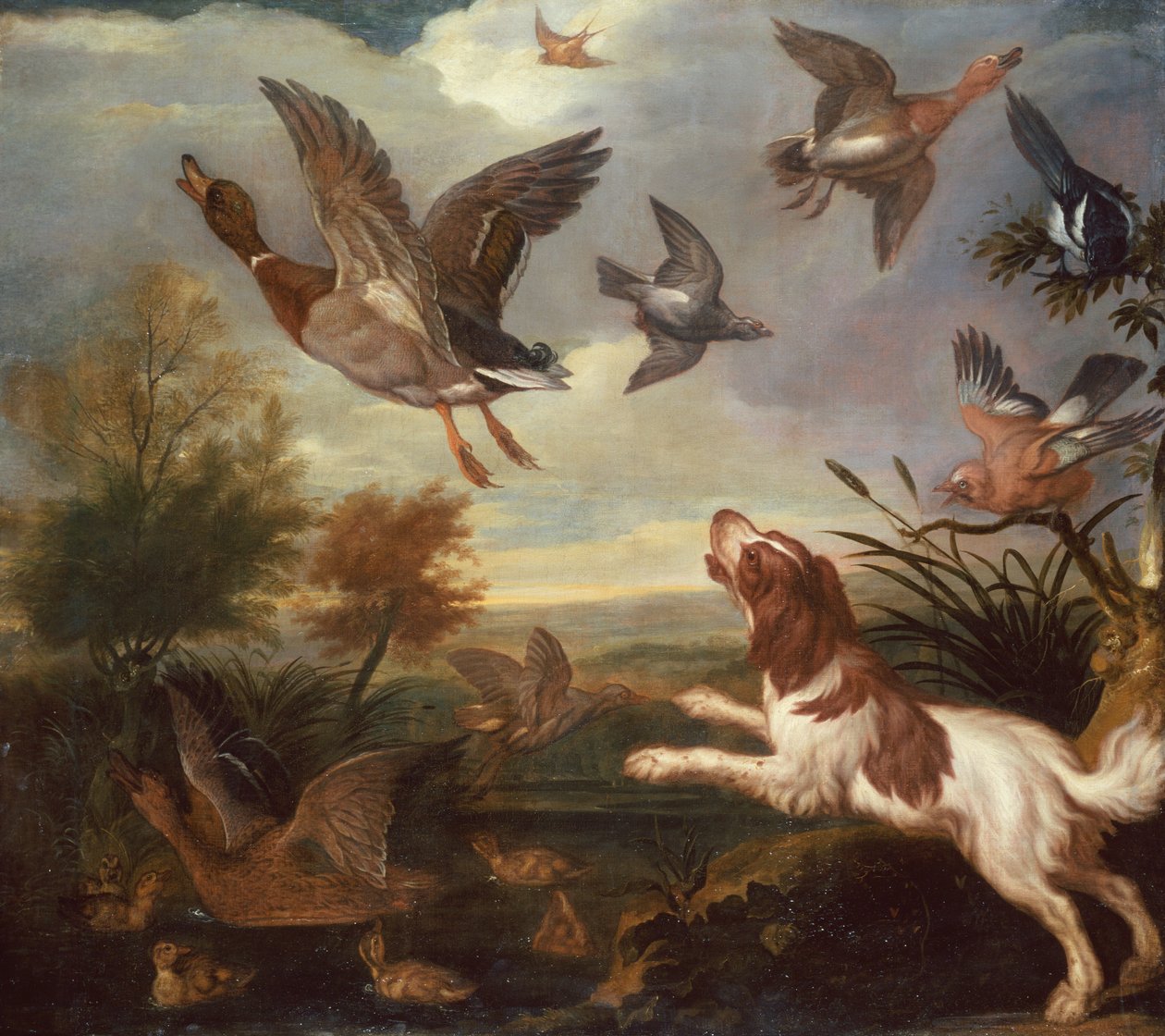 A Spaniel Flushing Mallard (olej na plátně) od Francis Barlow