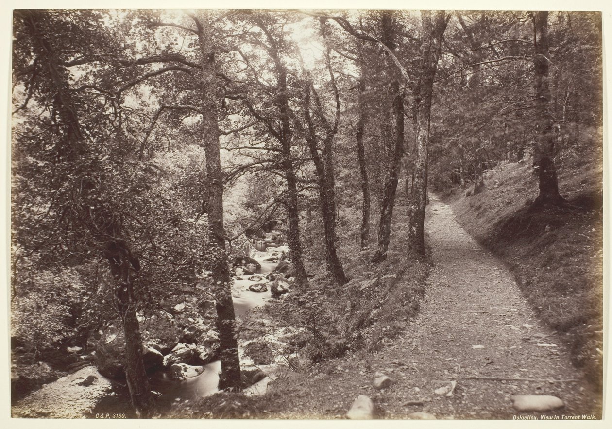 Dolgelley, Pohled v Torrent Walk od Francis Bedford