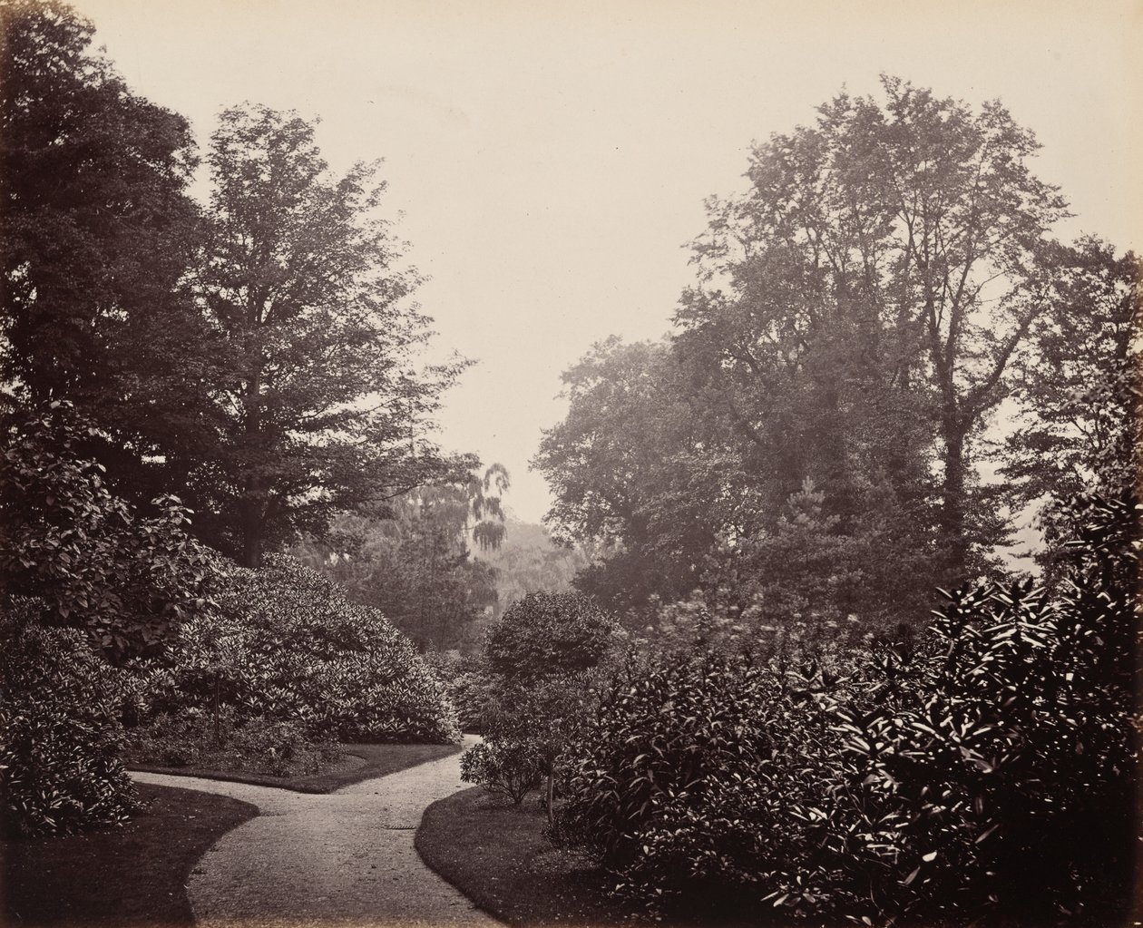 Stezka v Alexandra Parku,c. 1863 (foto) od Francis Bedford