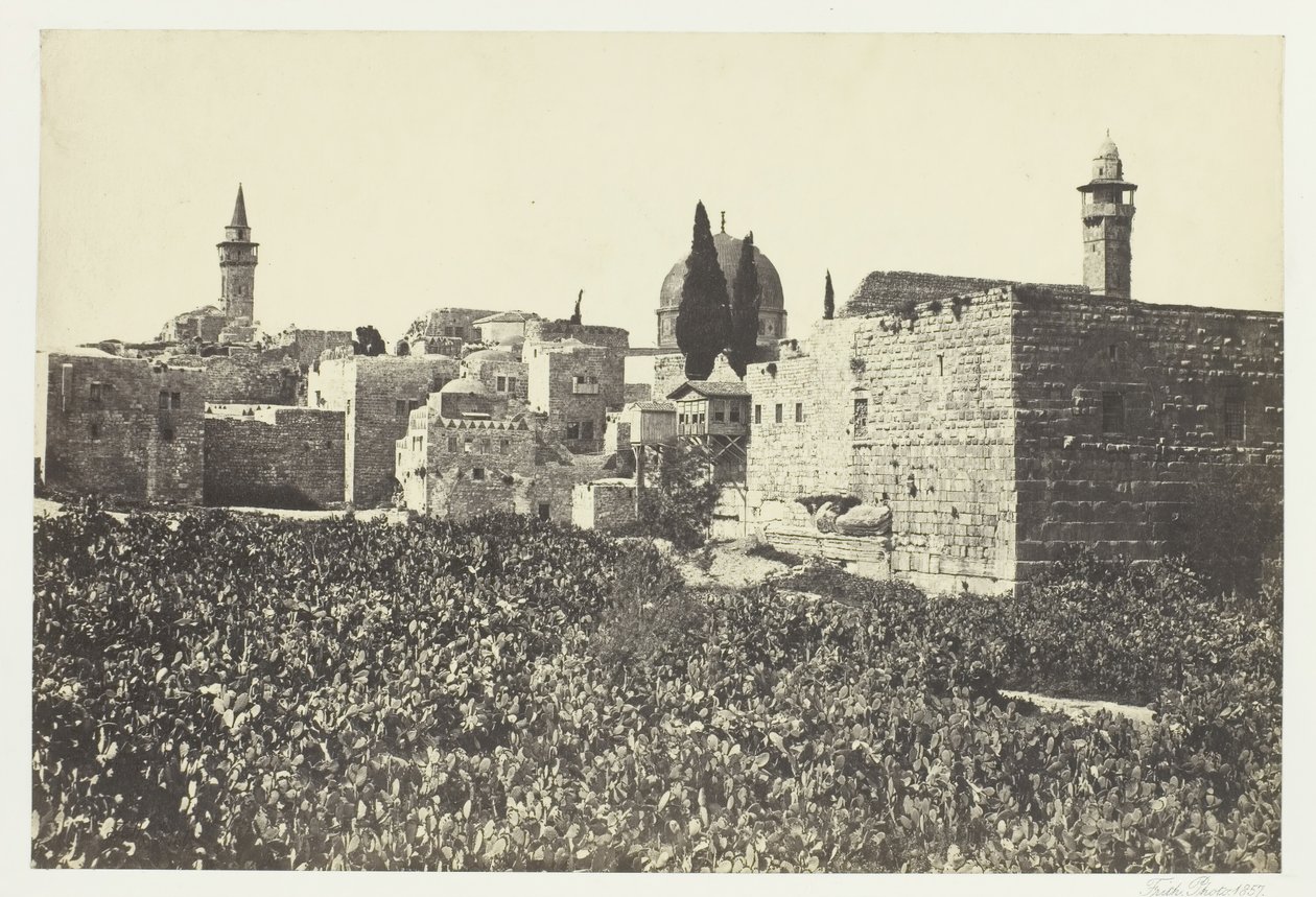 Tyrolské údolí, 1857. od Francis Frith