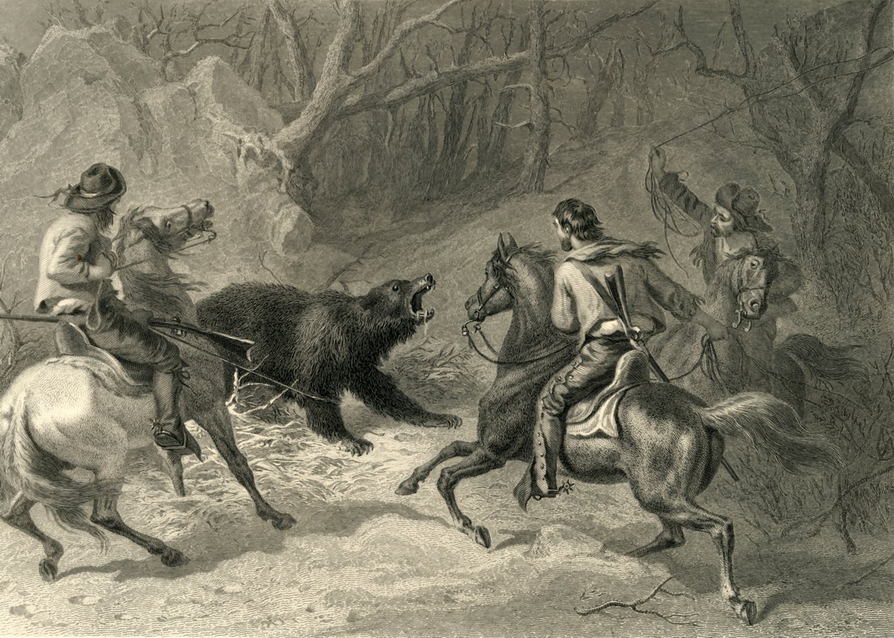 „Native Californians Lassoing a Bear“, 1874. od Francis Holl