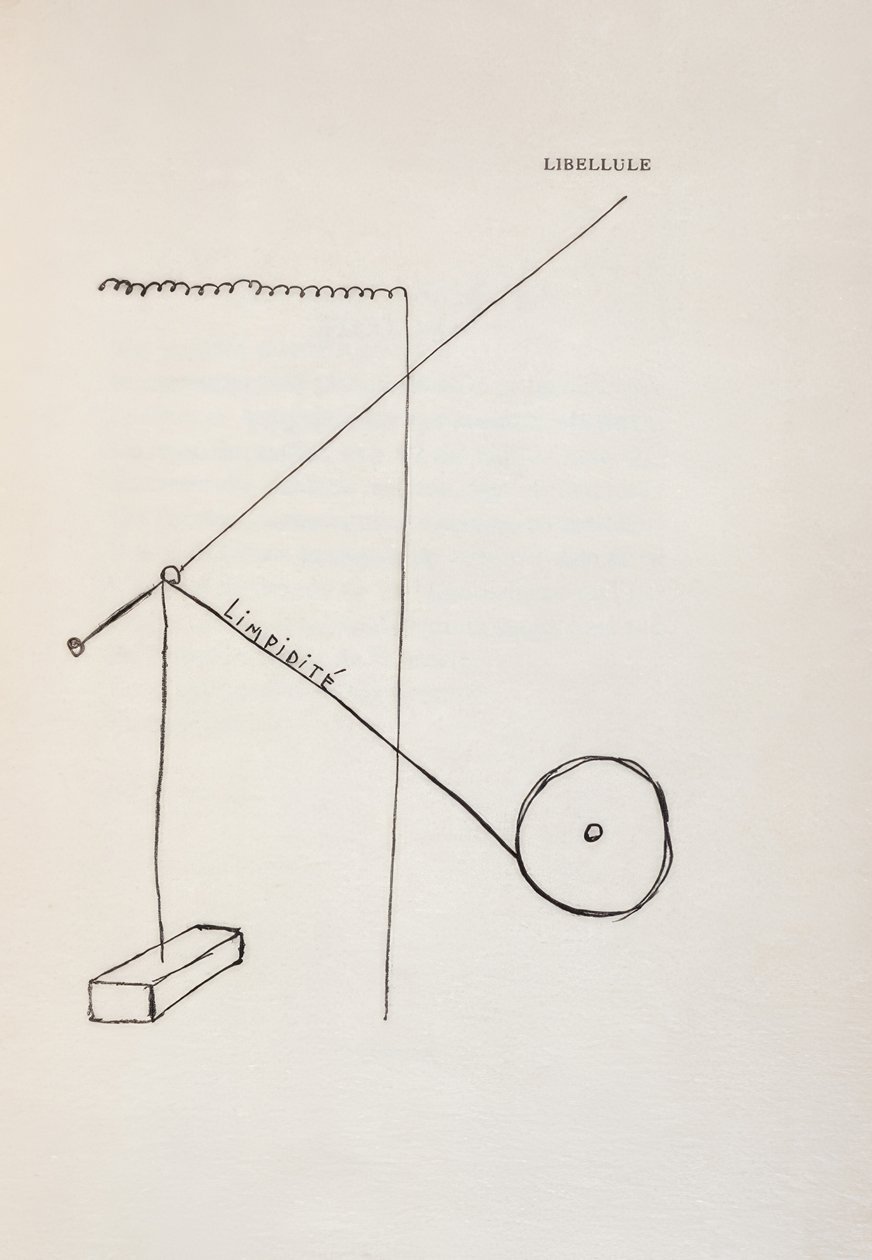 Vážka od Francis Picabia