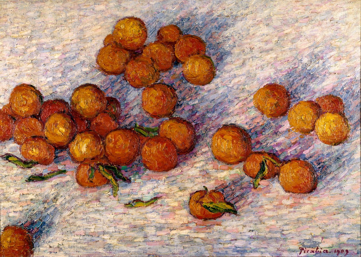 Pomeranče od Francis Picabia