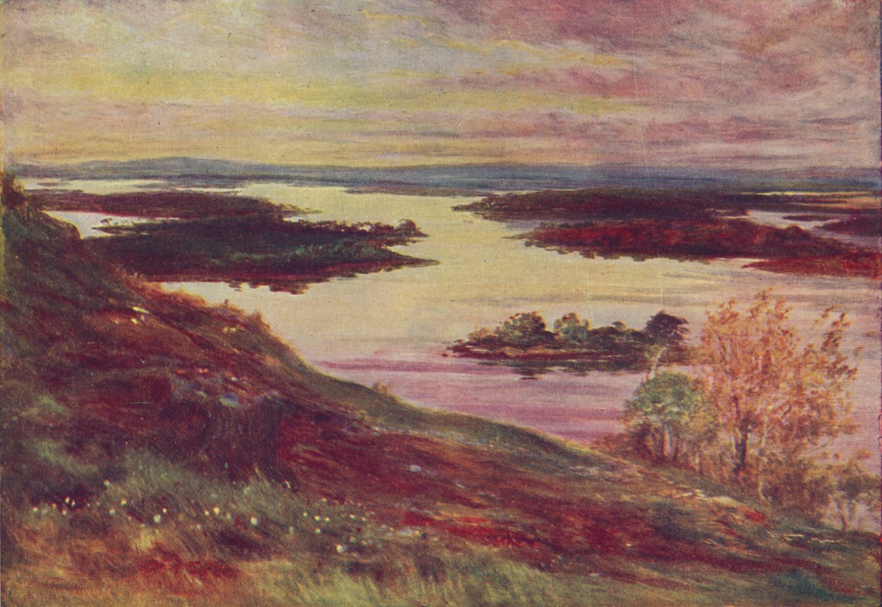 Irské jezero, 1910 od Francis S Walker