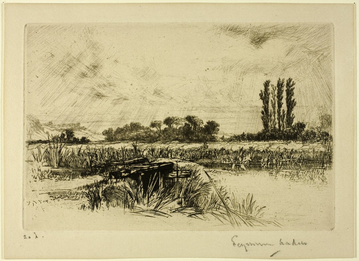 Vodní louka od Francis Seymour Haden
