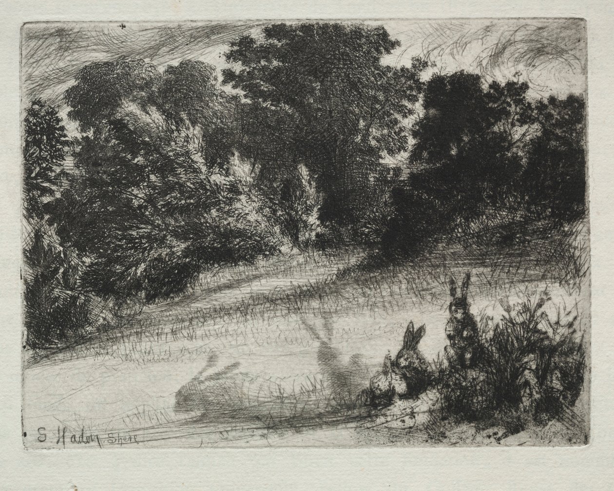 Combe Bottom. od Francis Seymour Haden