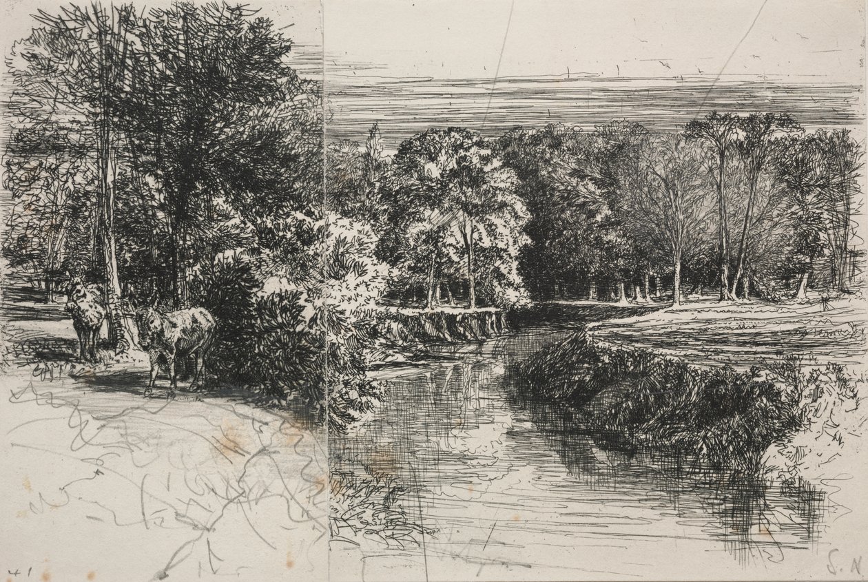 Řeka Dundrum a dva osli od Francis Seymour Haden