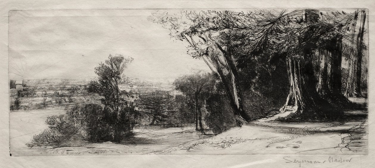 Brzy ráno, Richmond Park. od Francis Seymour Haden