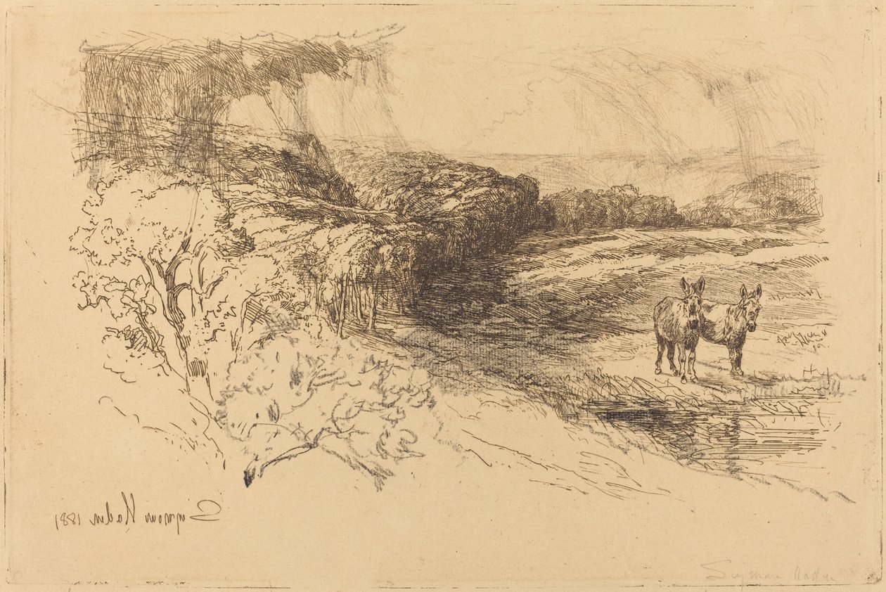 Encombe Woods (č. 1) od Francis Seymour Haden