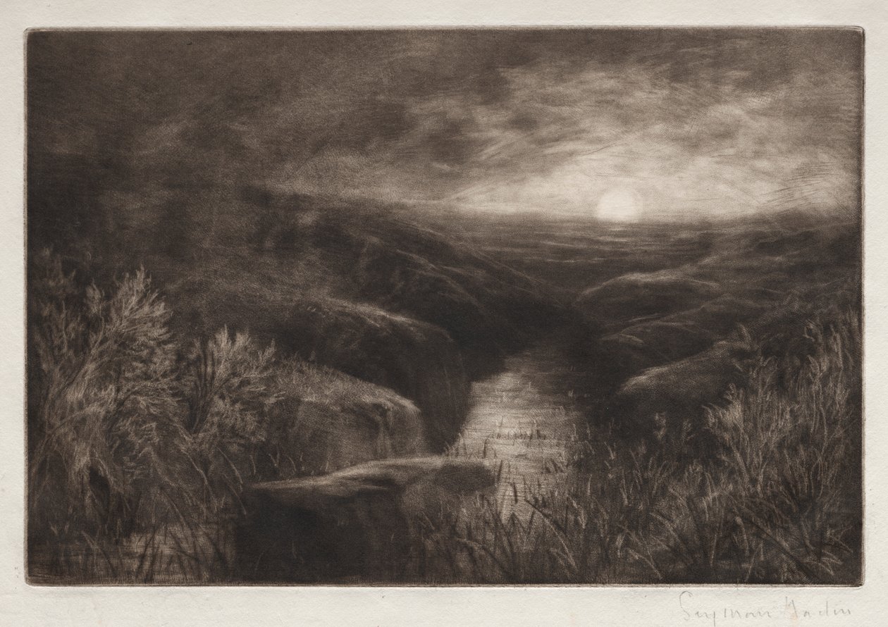 Haunt of the Mosquito od Francis Seymour Haden