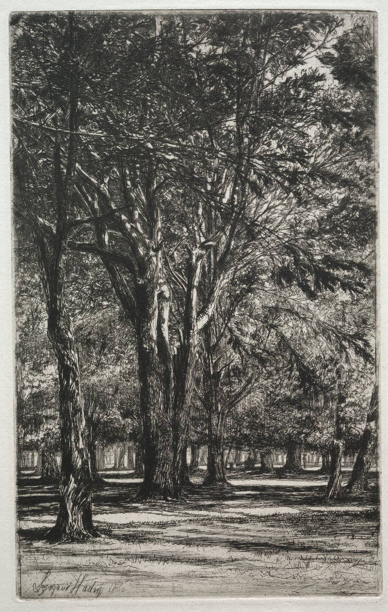 Kensington Gardens The Large Plate, 1860. od Francis Seymour Haden
