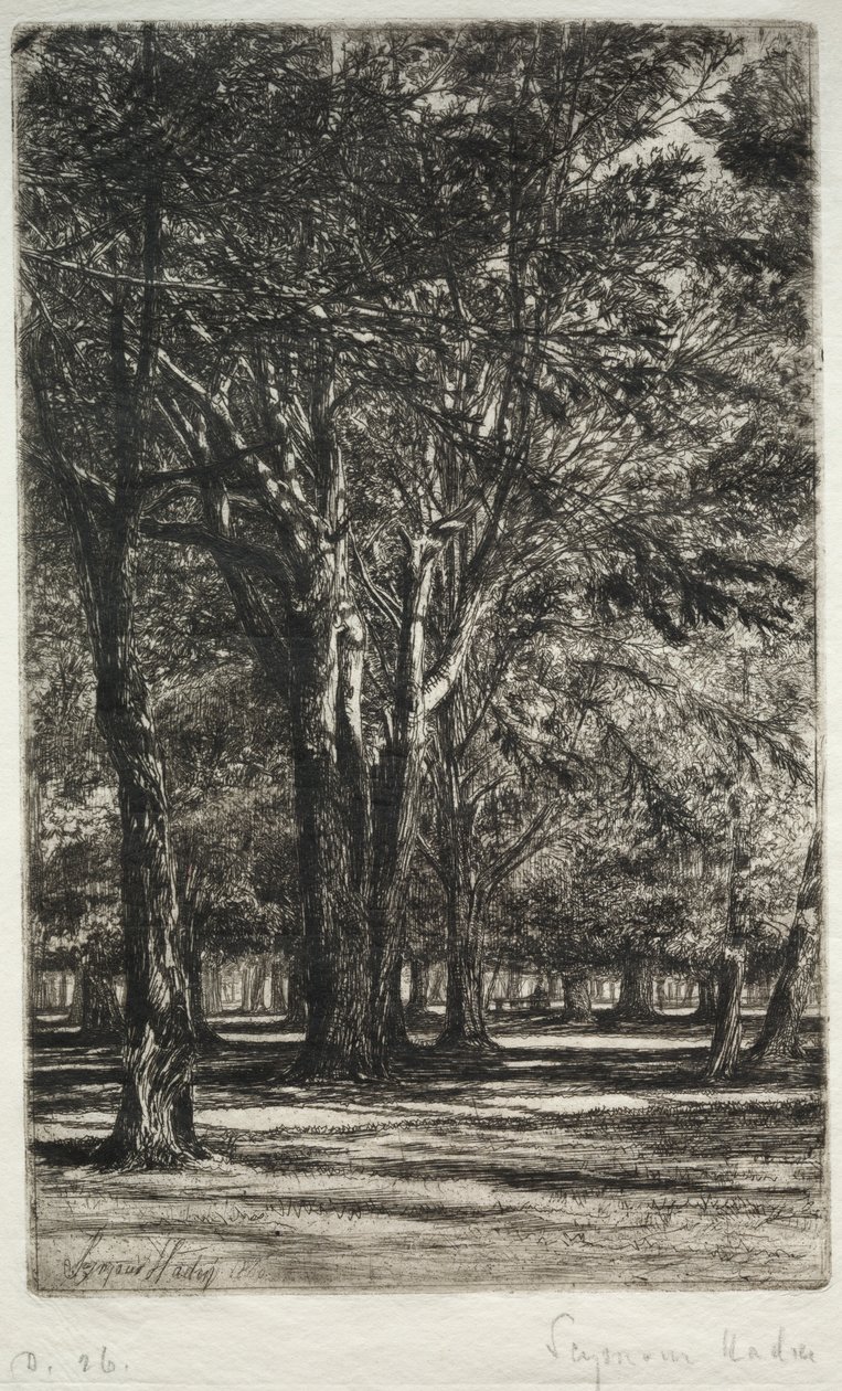 Kensington Gardens The Larger Plate, 1860. od Francis Seymour Haden