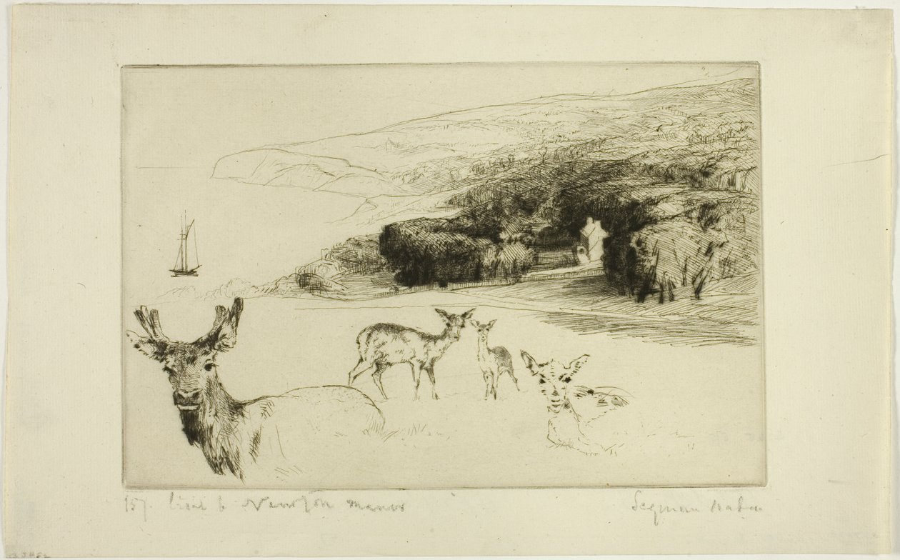 Newton Manor od Francis Seymour Haden