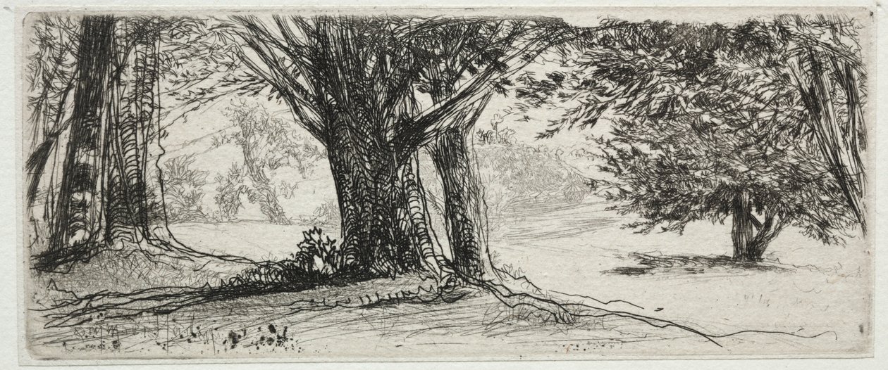 Cesmínové pole. od Francis Seymour Haden