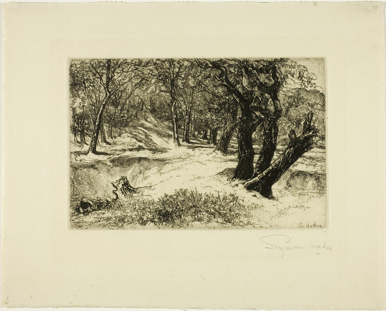 Tři sestry od Francis Seymour Haden