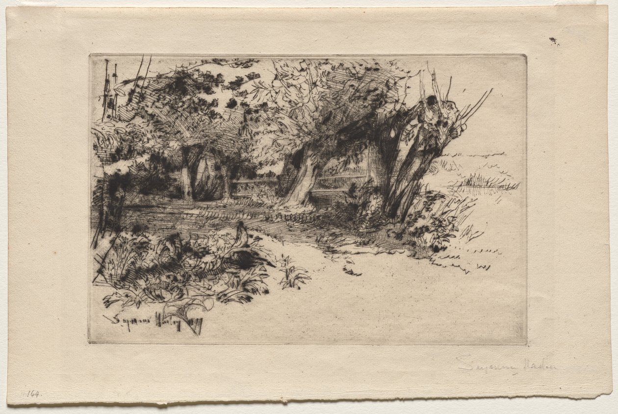 Vrby od Francis Seymour Haden