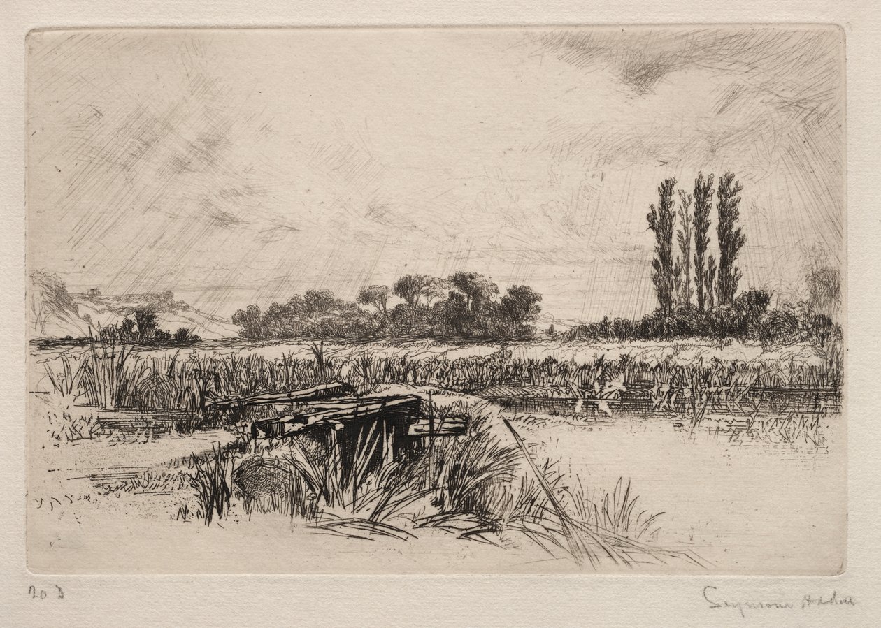 Vodní louka od Francis Seymour Haden