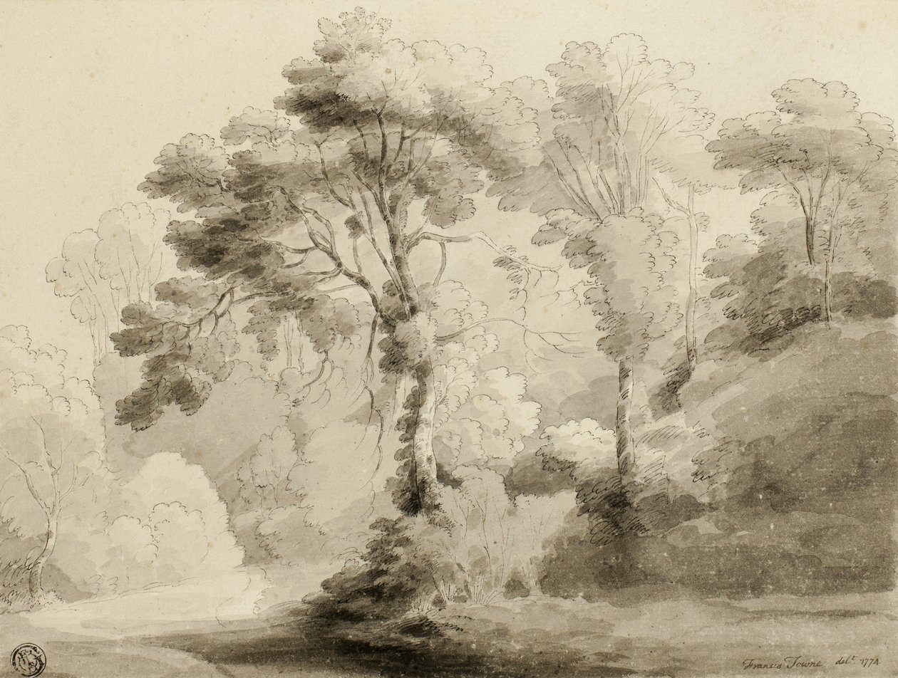 Zalesněná krajina, 1774 od Francis Towne