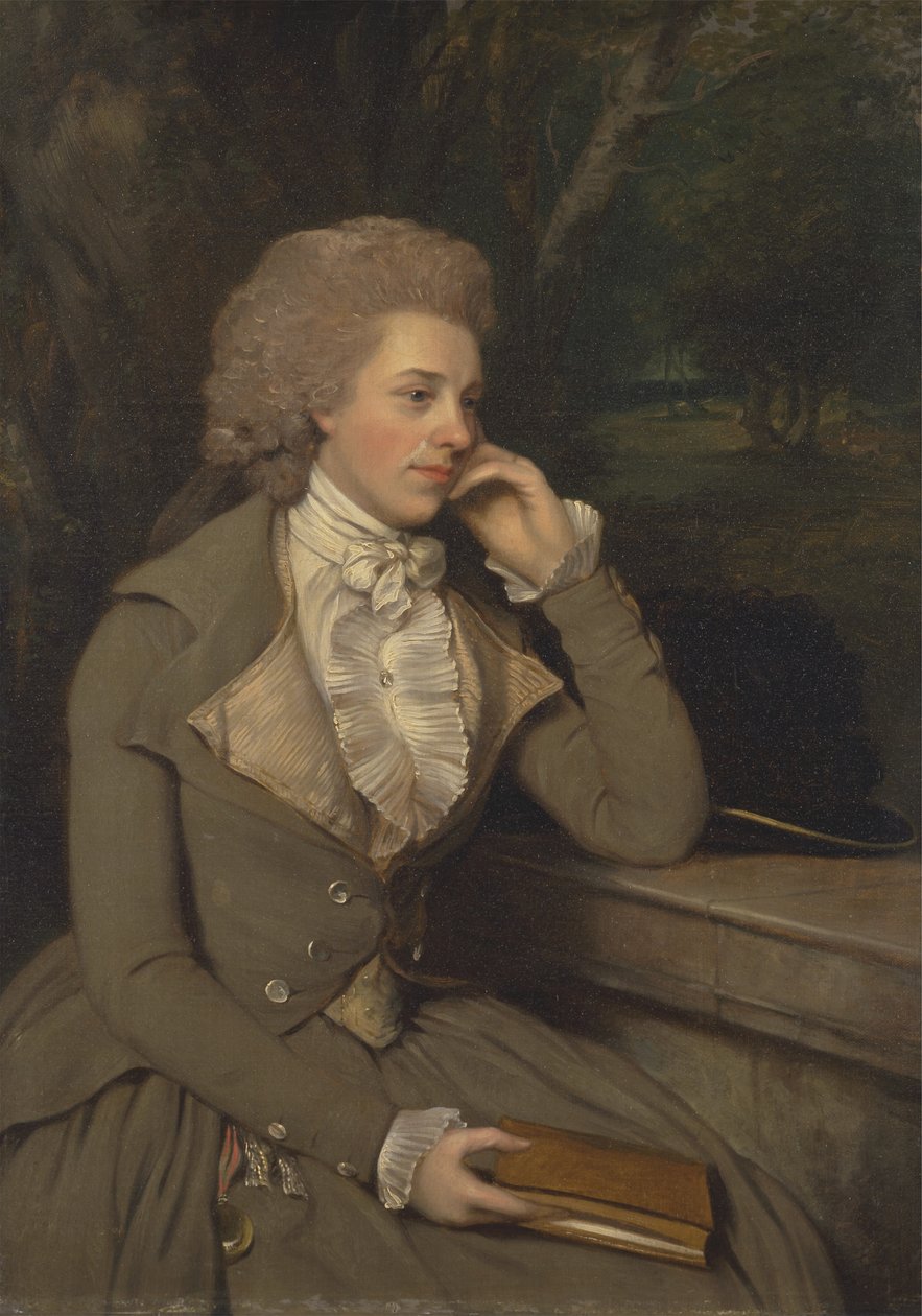 Paní Stevensová, kolem roku 1795 (olej na plátně) od Francis Wheatley