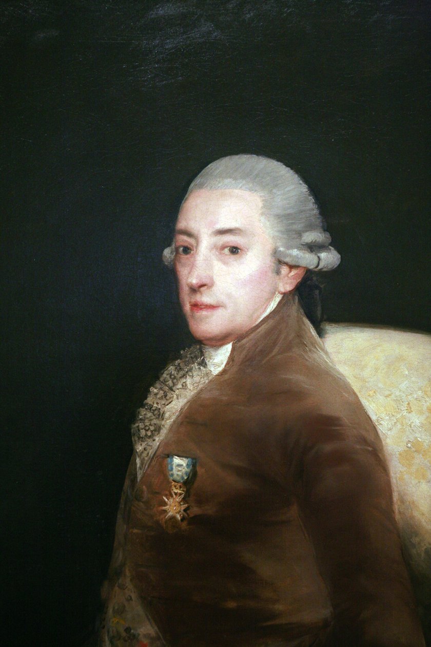 Portrét Dona Bernarda de Iriarte od Francisco de Goya