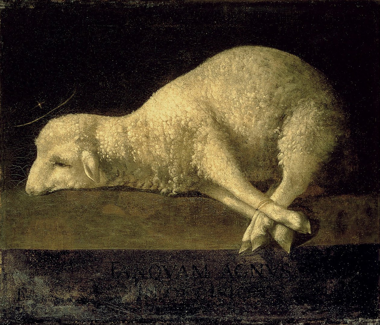 Beránek Boží od Francisco de Zurbaran