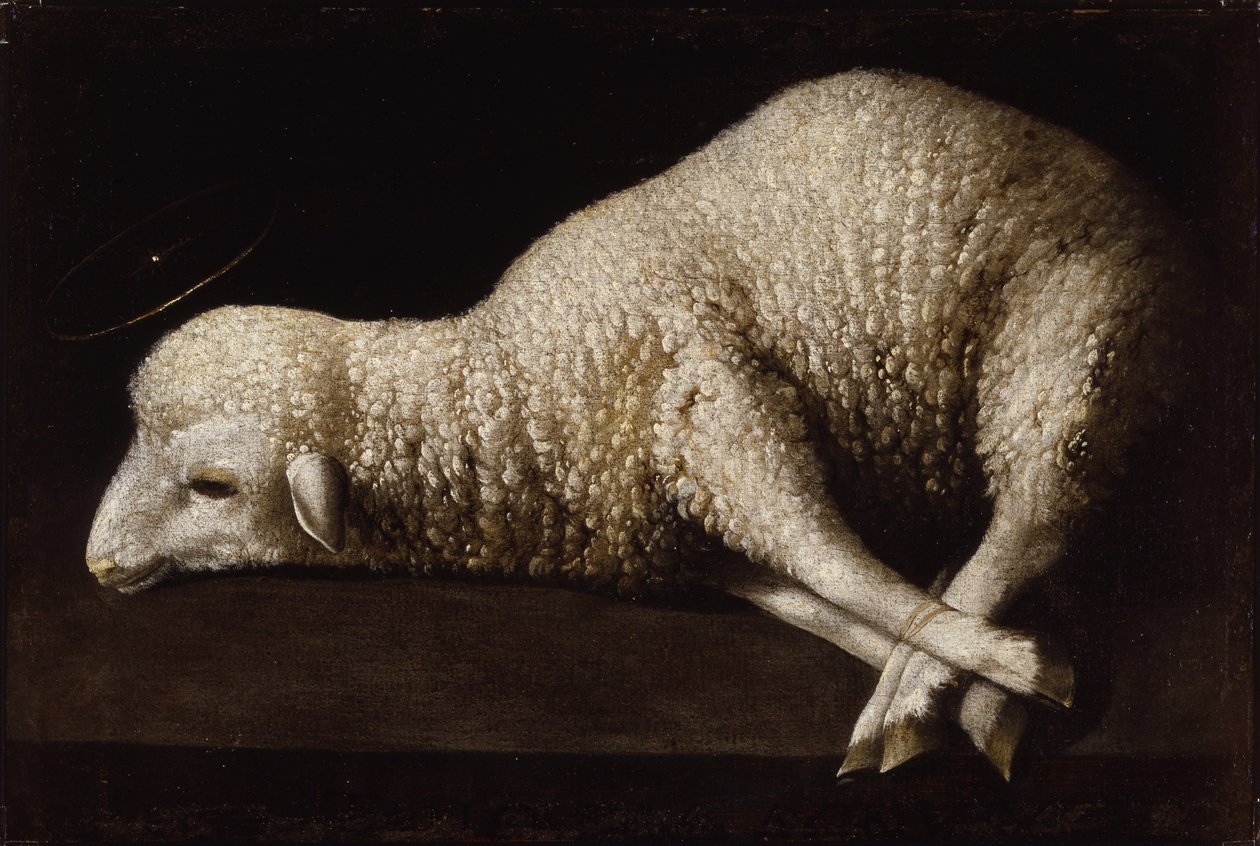 Beránek Boží, kolem 1635-40 od Francisco de Zurbaran